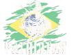 Patriota Armas